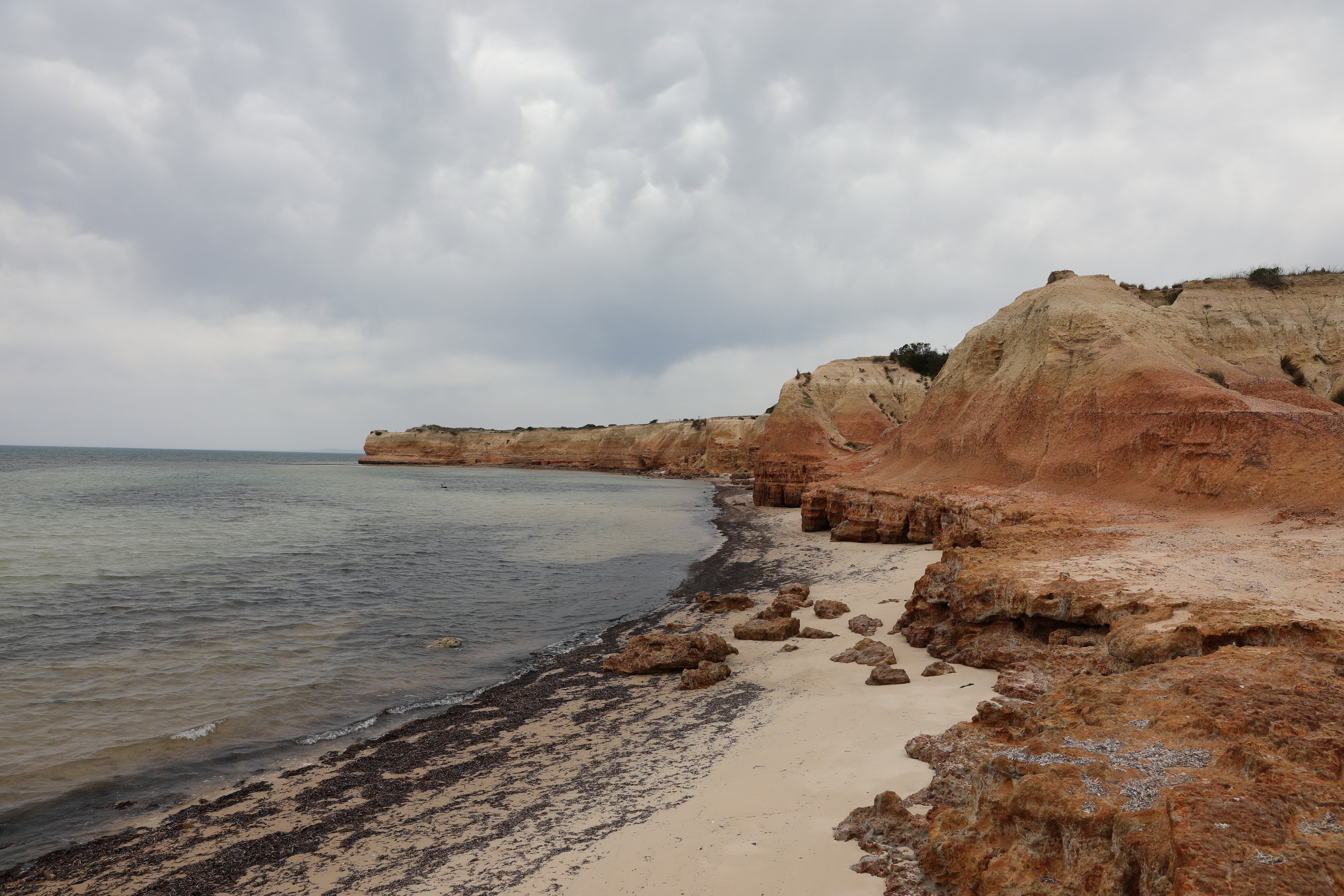 2019 10 05 14 29 02 Canon EOS 5D Mark IV 0005